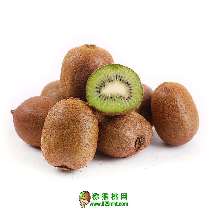 beat365官方网站图片