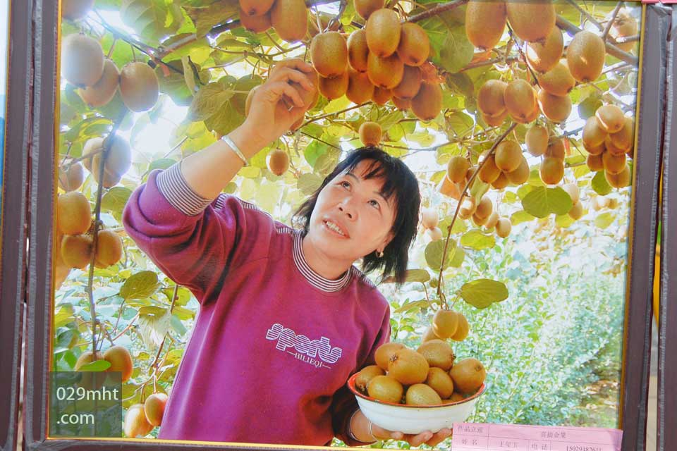 周至摄影家协会5.jpg