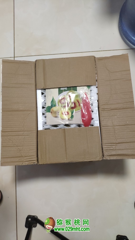 beat365 c6089