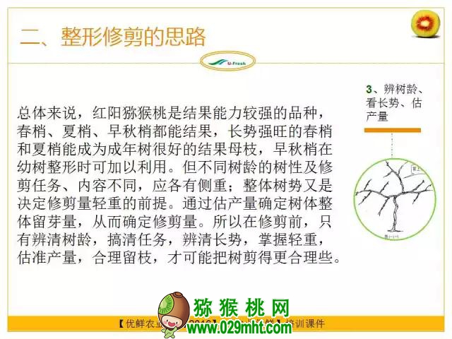 <a href=http://www.elccg.cn/mht/hongxin/ target=_blank class=infotextkey />红心beat365猕猴桃</a>整形修剪详解(图片示范)