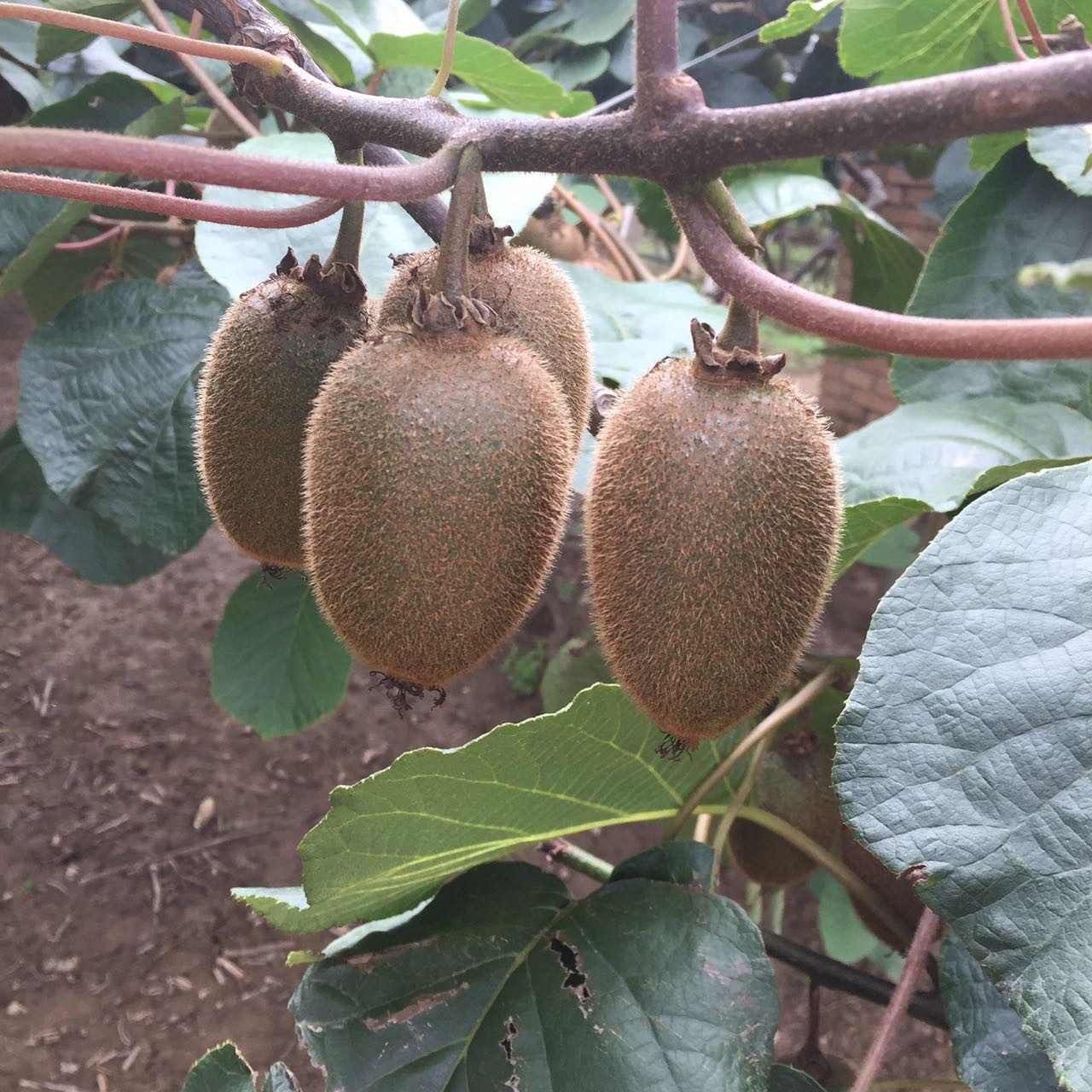212cb8aa48825dd01803331d599c4a6f.jpg