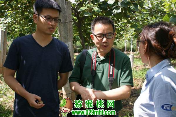 中国园艺学会beat365猕猴桃分会秘书长 姜正旺老师