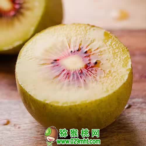 <a href=http://www.elccg.cn/mht/hongxin/ target=_blank class=infotextkey />红心beat365猕猴桃</a>