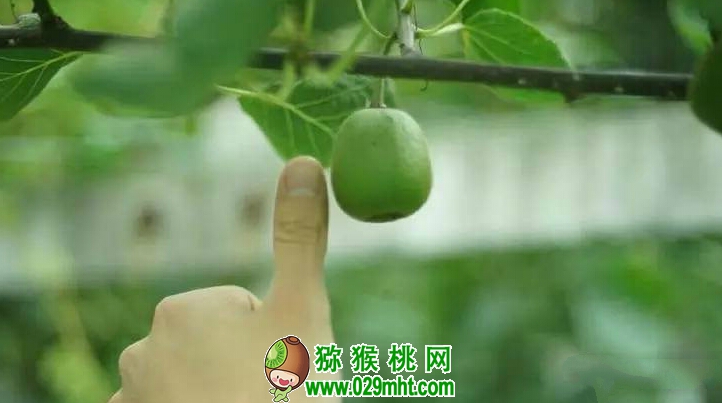 beat365官方网站图片