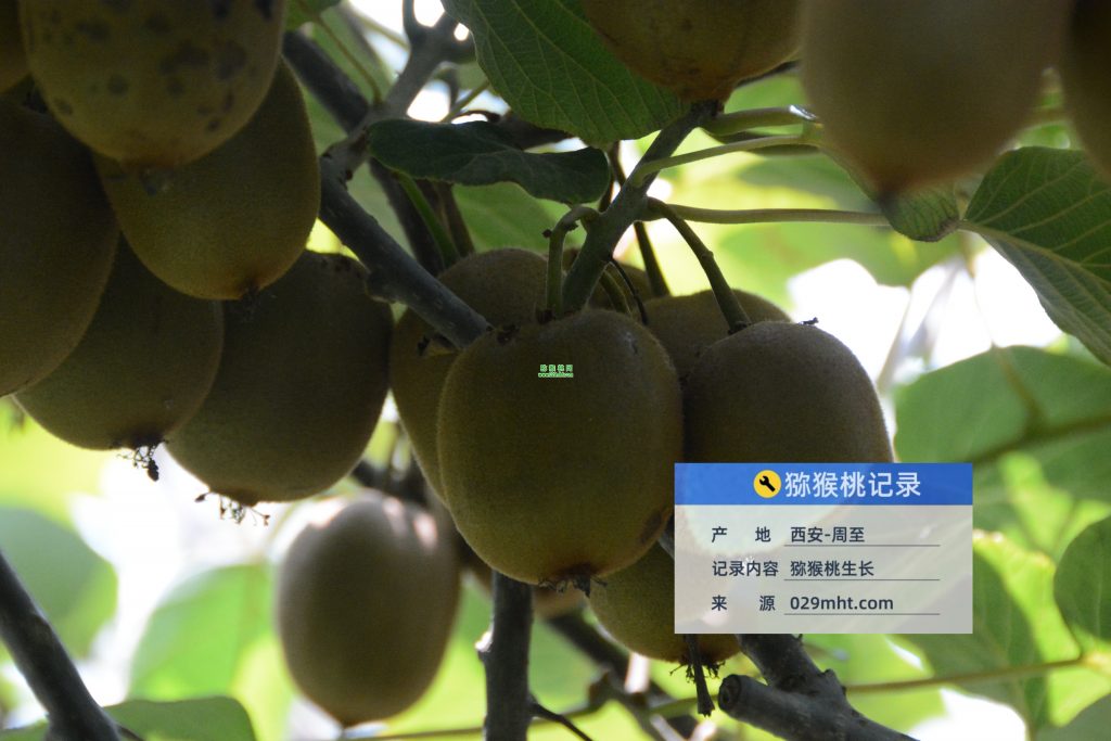 beat365官方网站图片