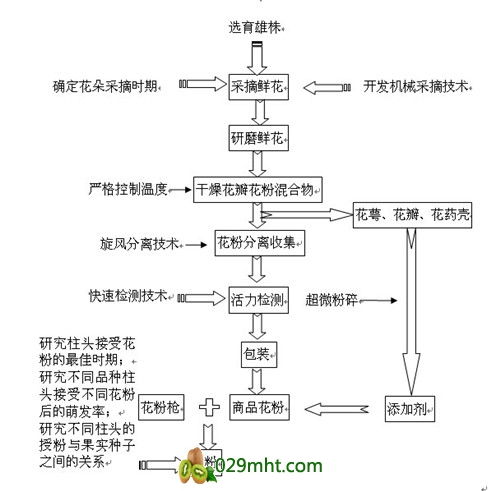 beat365官方网站图片