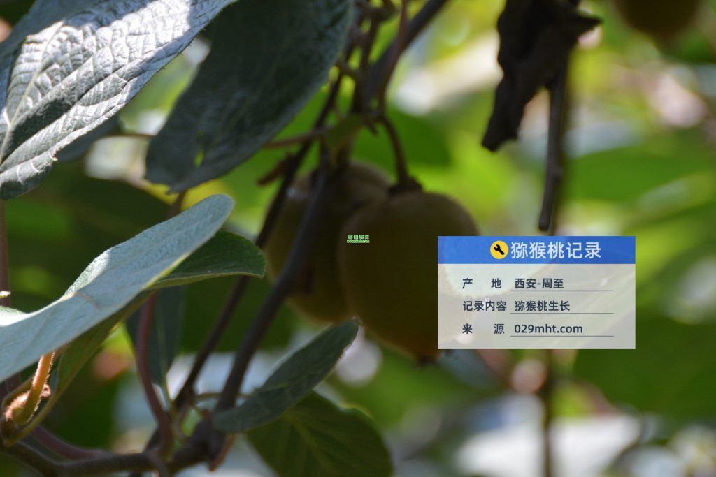 beat365官方网站图片