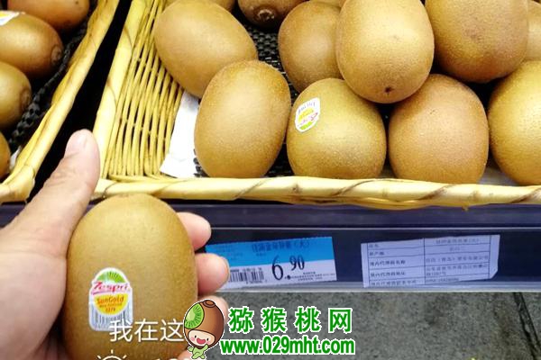 佳沛阳光金果来势汹汹 <a href=http://www.elccg.cn/e/tags/index.php?tagname=%E5%9B%BD%E4%BA%A7%E7%8C%95%E7%8C%B4%E6%A1%83&page=0 target=_blank class=infotextkey />国产beat365猕猴桃</a>还有机会吗?