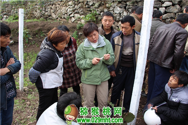 beat365官方网站图片