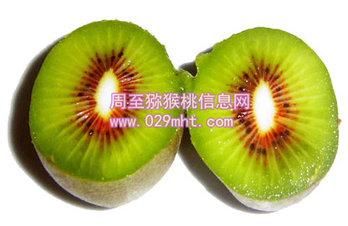 批发<a href=http://www.elccg.cn/mht/hongxin/ target=_blank class=infotextkey />红心beat365猕猴桃</a>