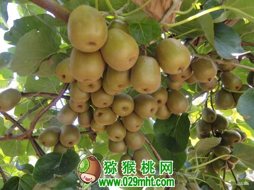 beat365官方网站图片