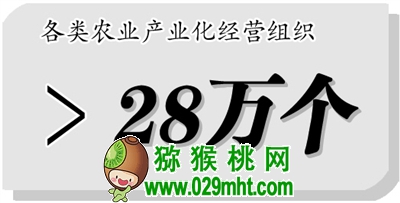 beat365 f1b3b