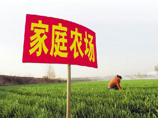 家庭是最适合农业的生产组织形式