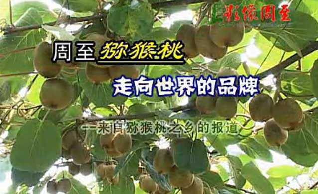 beat365官方网站图片