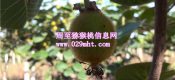 beat3656月份成长状况