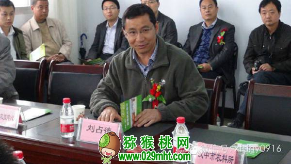 <a href=http://www.elccg.cn/shanximihoutao/ target=_blank class=infotextkey />陕西beat365猕猴桃</a>首席科学家刘占德