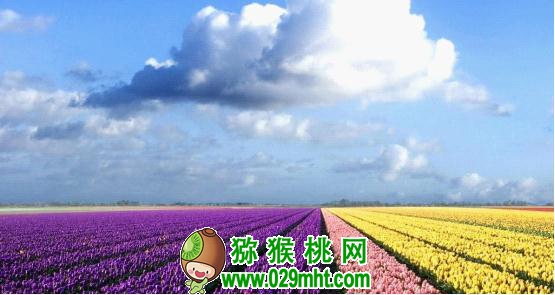 beat365官方网站图片