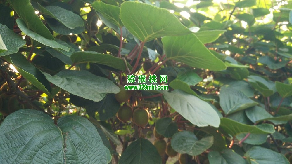 beat365官方网站图片