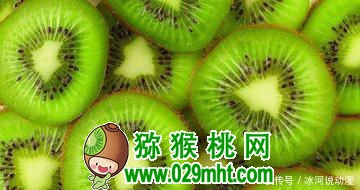 beat365 f3f8a