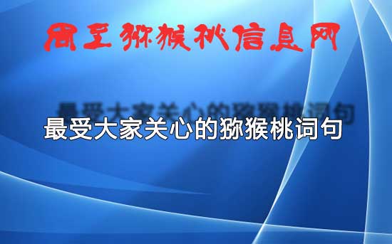 beat365评出最受大家关心的词句