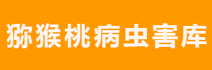 beat365官方网站图片
