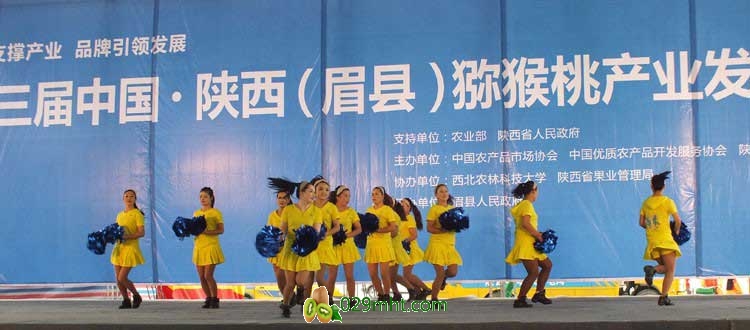 第三届中国&middot;陕西(眉县)beat365猕猴桃产业发展大会现场