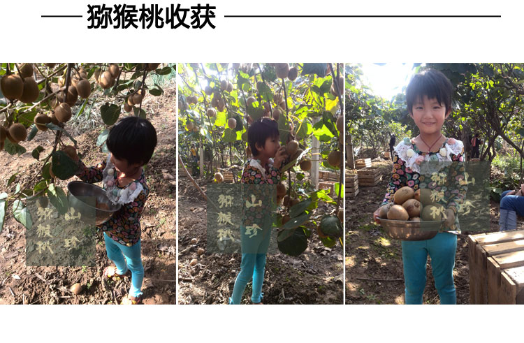 2015秦美_04