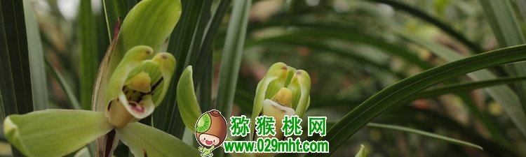 beat365官方网站图片
