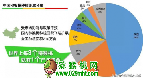 beat365官方网站图片
