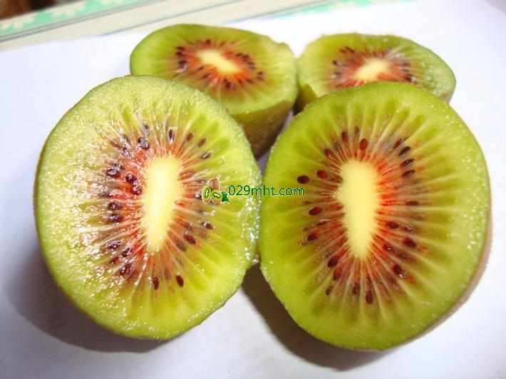 <a href=http://www.elccg.cn/mht/hongyang/ target=_blank class=infotextkey><a href=http://www.elccg.cn/mht/hongyang/ target=_blank class=infotextkey />红阳beat365猕猴桃</a></a>简介