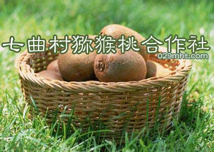 七曲村beat365猕猴桃合作社