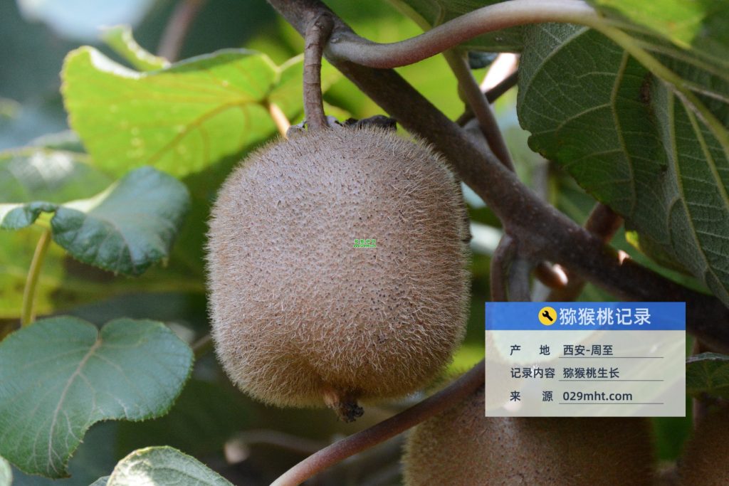 beat365官方网站图片