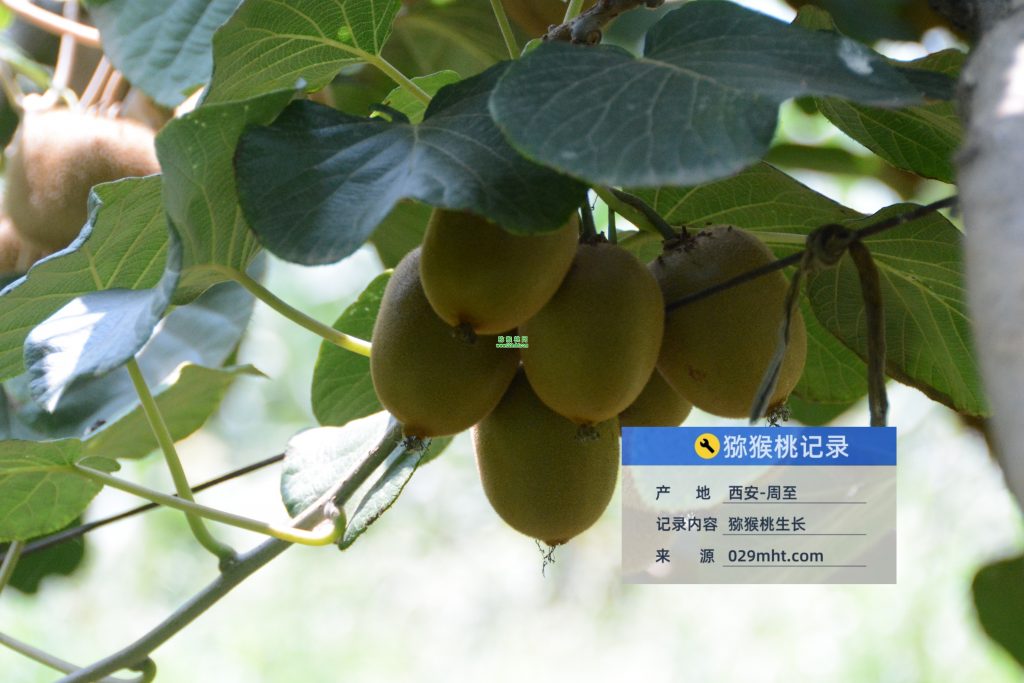 beat365官方网站图片