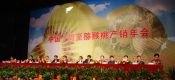 周至beat365猕猴桃年产会图片