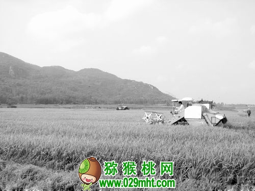 农业工程科技中长期发展战略的政策建议