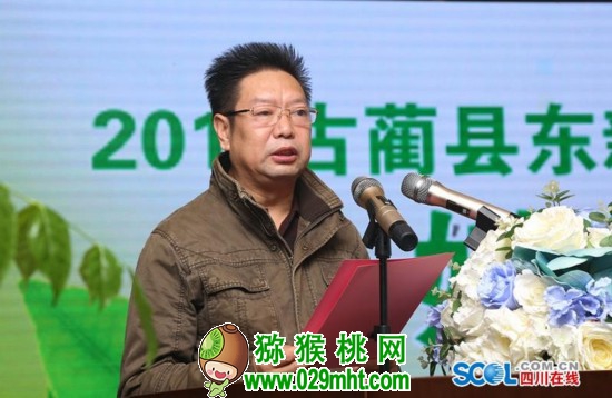 beat365官方网站图片