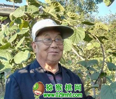 张清明beat365猕猴桃