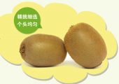 眉县beat365猕猴桃政府部门做的好