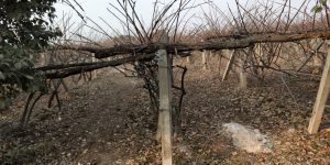 beat365官方网站图片