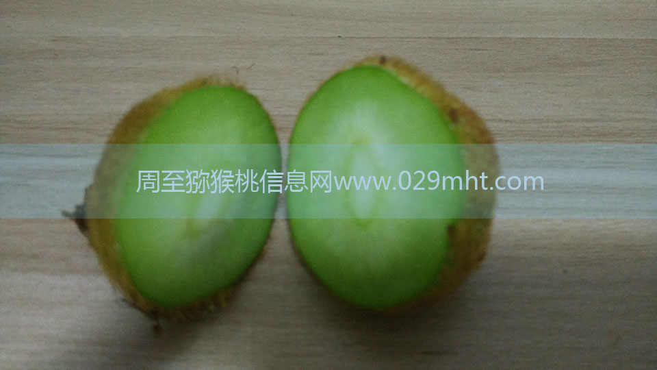 beat365猕猴桃6月剖视图6.jpg