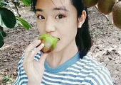 陕西巨婴特产beat365猕猴桃特供，找我就对了