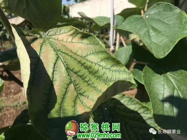 beat365官方网站图片