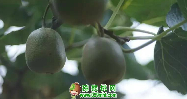 beat365官方网站图片