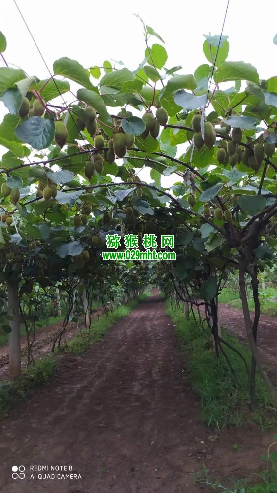 beat365官方网站图片