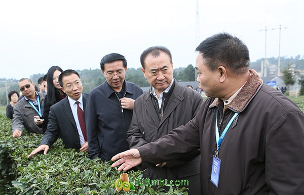 233225514676.jpeg