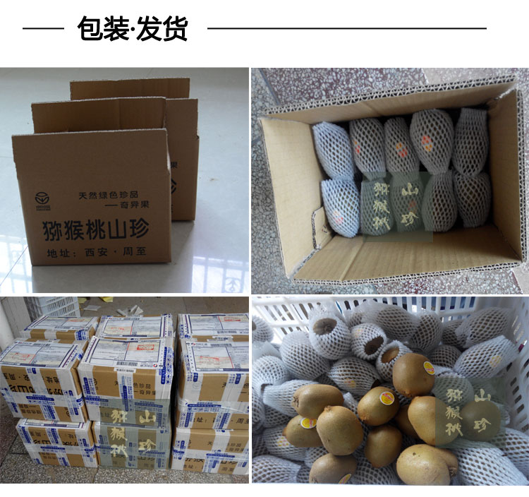 2015秦美_06