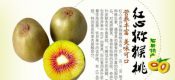 眉县红心beat365猕猴桃图片