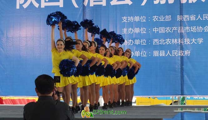 第三届中国&middot;陕西(眉县)beat365猕猴桃产业发展大会现场