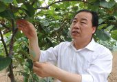 周至县政府部门该怎样才能发展周至beat365猕猴桃呢？