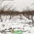 中国陕西周至beat365猕猴桃之乡冬天雪景